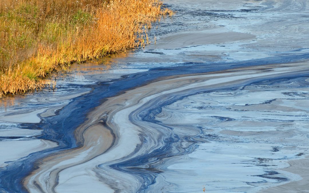 O impacto do óleo no ambiente